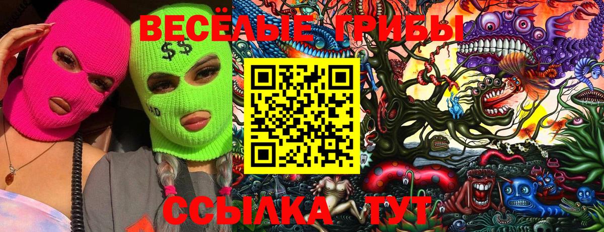Галлюциногенные грибы GOLDEN TEACHER Пенза