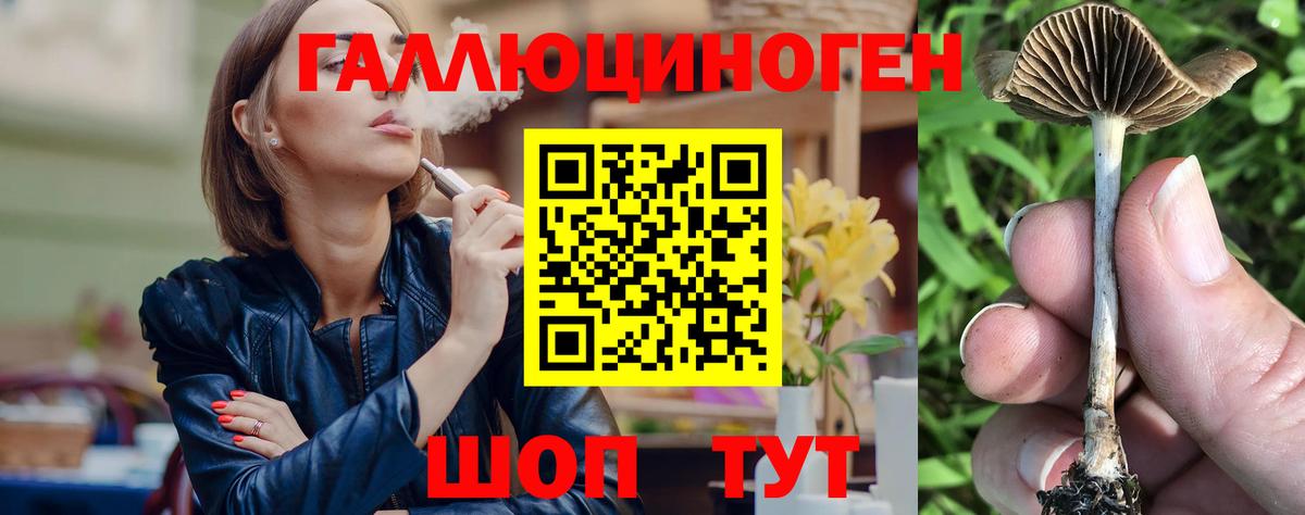 Галлюциногенные грибы мухоморы  Псилоцибиновые грибы Psilocybine cubensis  Пенза  Вход с VPN 
